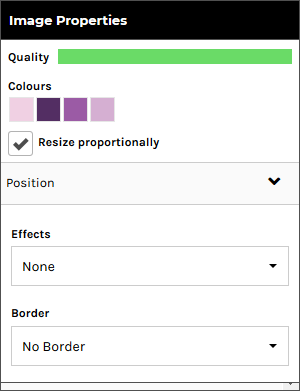 Image Properties Panel - Effects Section