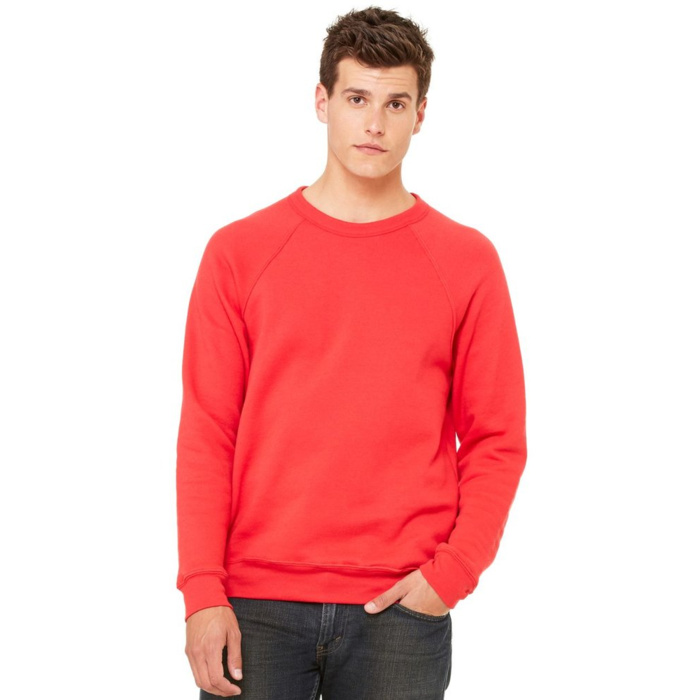 Unisex Sponge Fleece Raglan Sweatshirt Thumbnail
